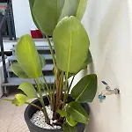 Сasa de vacaciones Casa Moinho Vedro Quintiães
