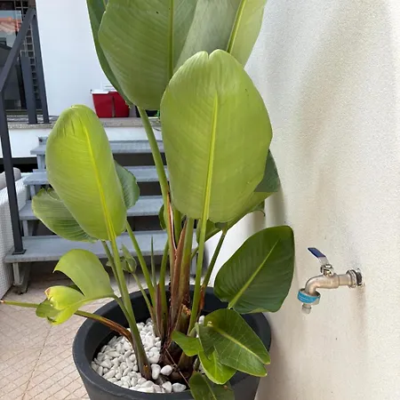 Ferienhaus Casa Moinho Vedro Quintiães