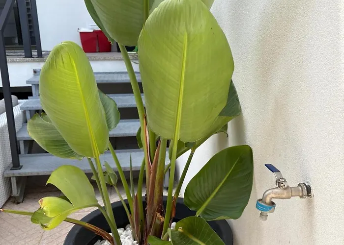 度假居 Casa Moinho Vedro Quintiães